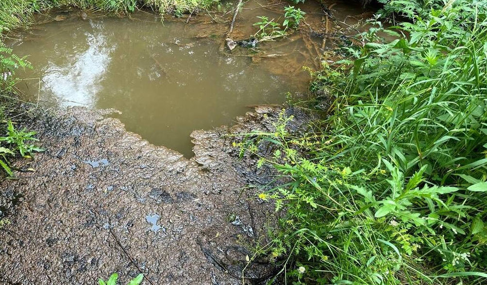 Загрязнение Березайки нефтью и отходами в Тверской области привлекло проверку