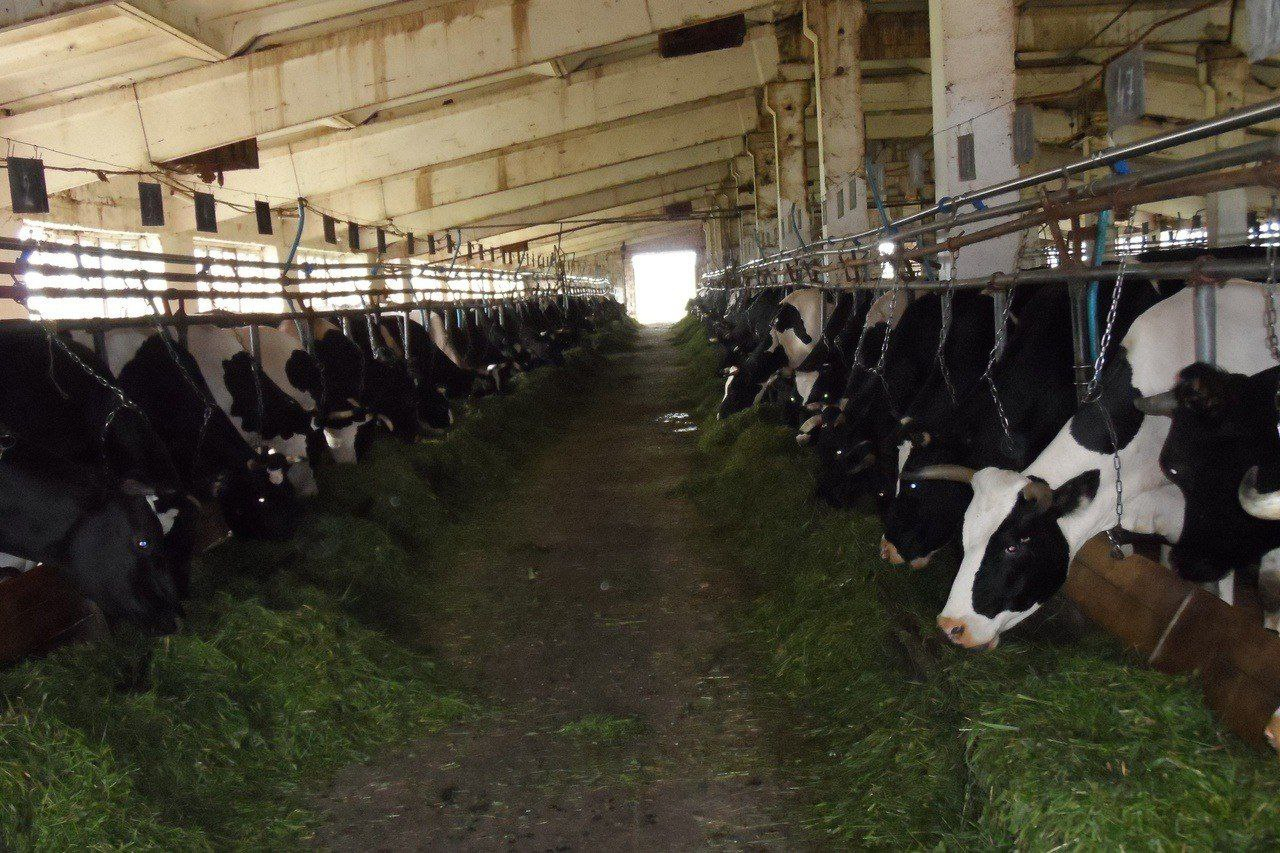 Племхоз «Ухта-97» станет собственностью Коми ради спасения предприятия