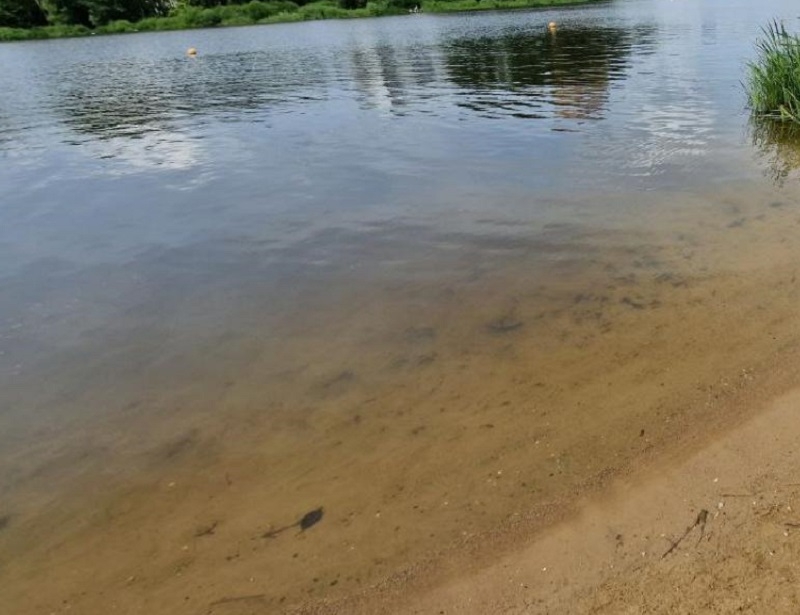 Законность формирования земельных участков вблизи щелковской реки проверит суд