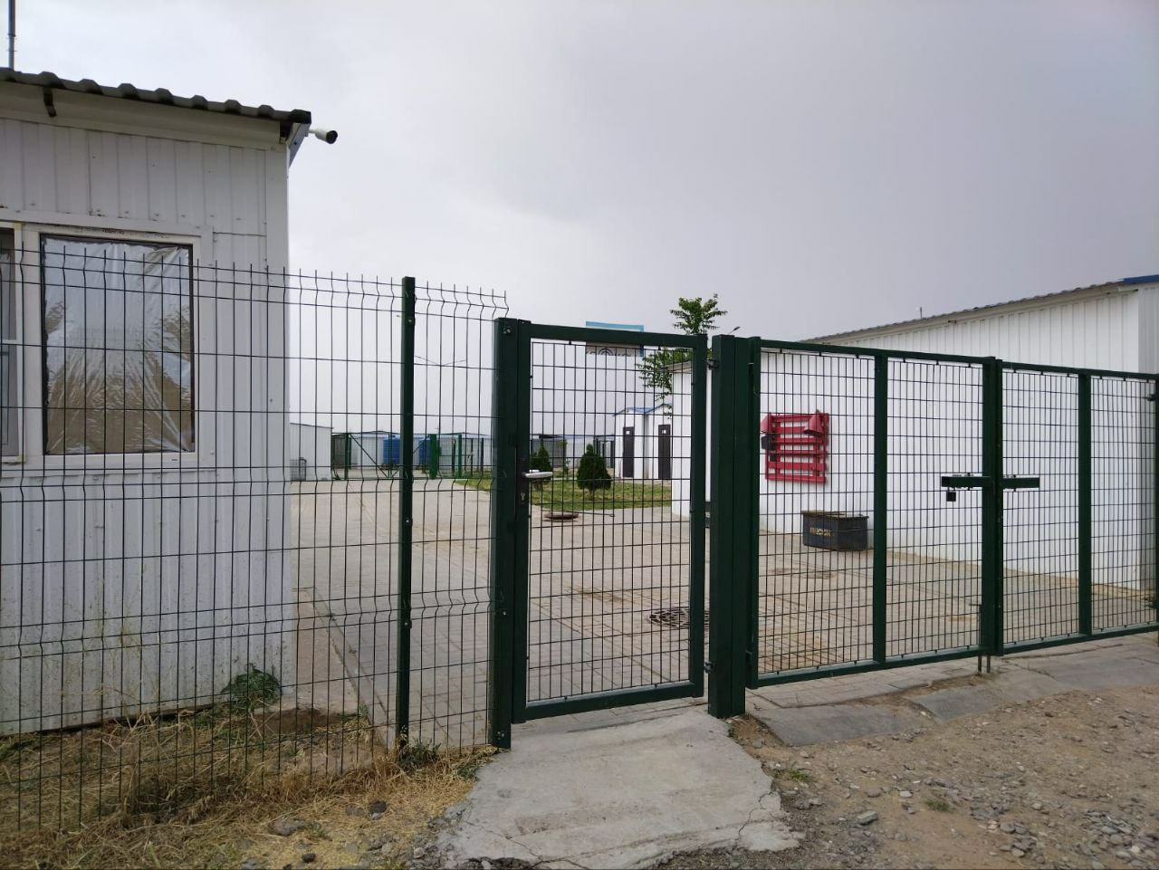 Из городского приюта Астрахани освободили всех собак 