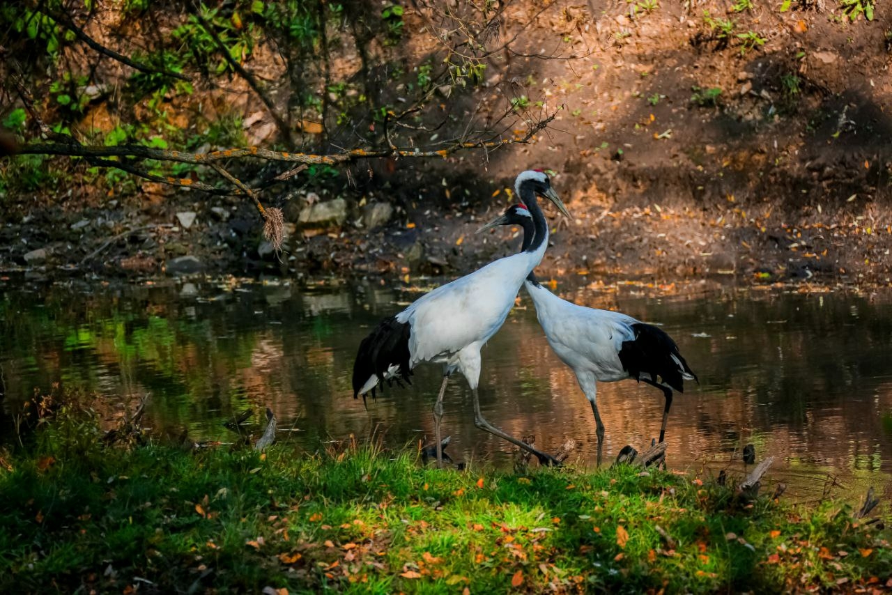 Липецкую область признали самым креативным регионом в туриндустрии