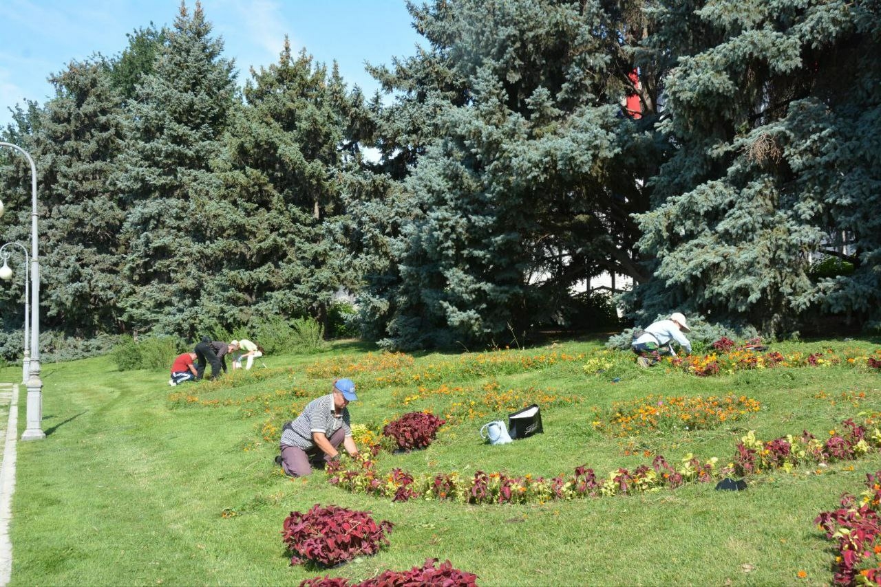 На площади Ленина в Астрахани обновили цветники 