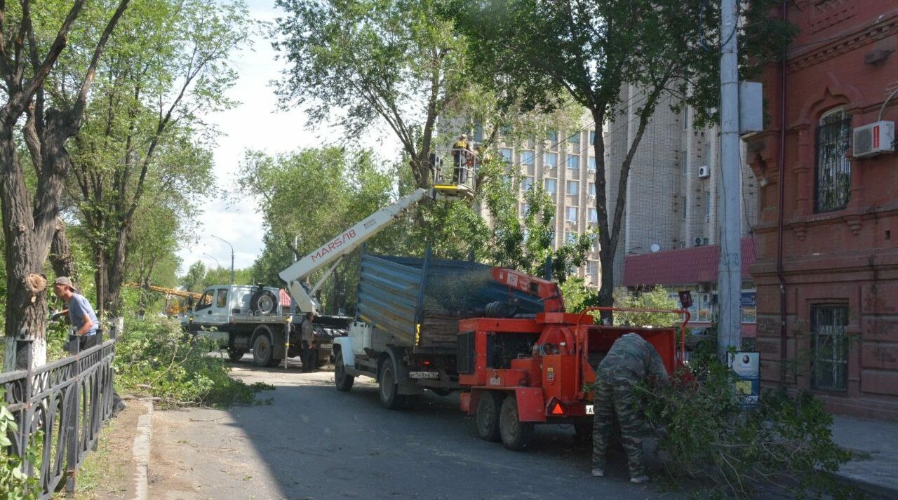К масштабной опиловке деревьев на улице Савушкина приступили в Астрахани 