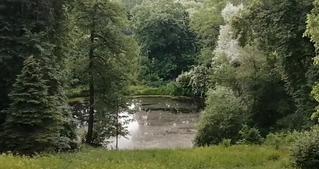 В Ленинских горках Московской области улучшат состояние водоемов