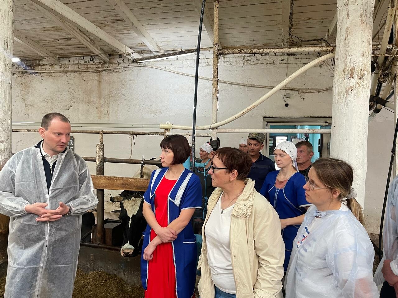 Ферма в Верховажье построит коровник на 140 скотомест в рамках гранта