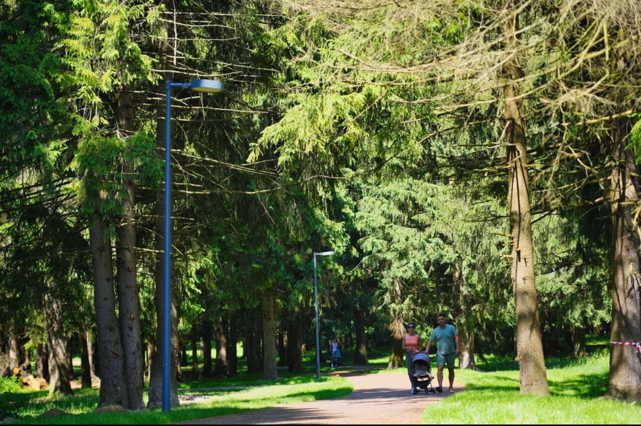В Сергиевом Посаде откроют обновленный лесопарк «Загорское море»