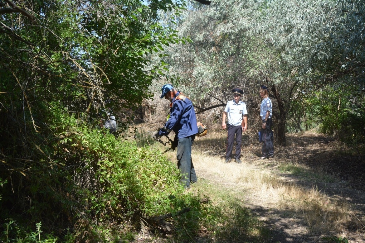 В Трусовском районе Астрахани уничтожили 300 квадратных метров наркосодержащей растительности 