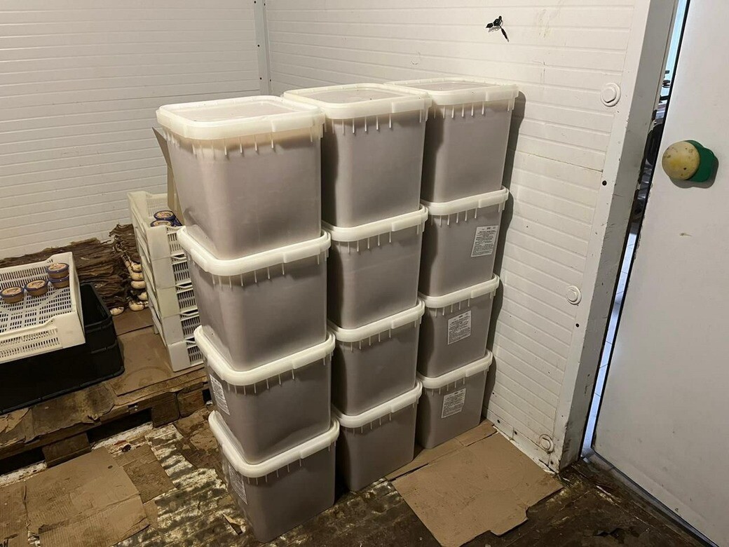 Астраханца подозревают в сбыте крупной партии немаркированной щучьей икры