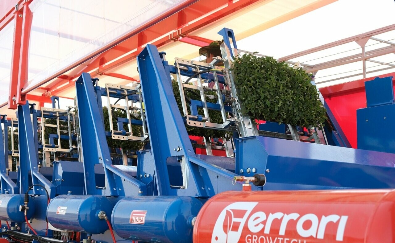 Завод «Томарина» под Астраханью выпустит первую партию пасты уже в этом году