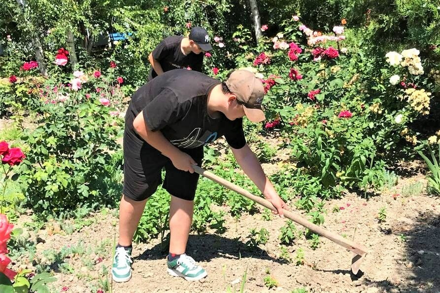 Более десяти тысяч кубанских подростков приняли участие во временных работах 