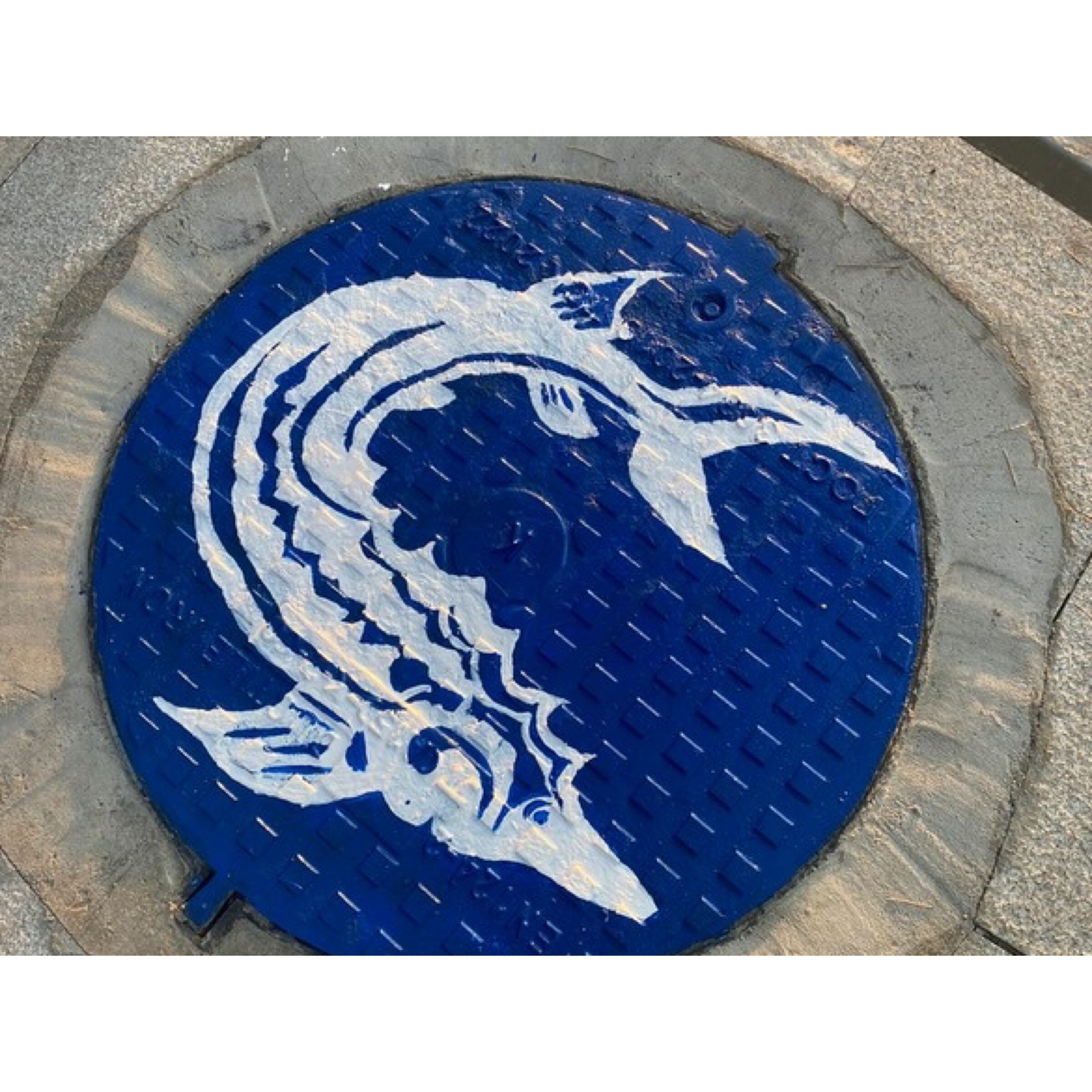 У памятника Петру I в Астрахани раскрасили люки смотровых колодцев