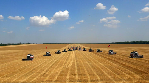 На Дону собрано более семи млн тонн зерна нового урожая 