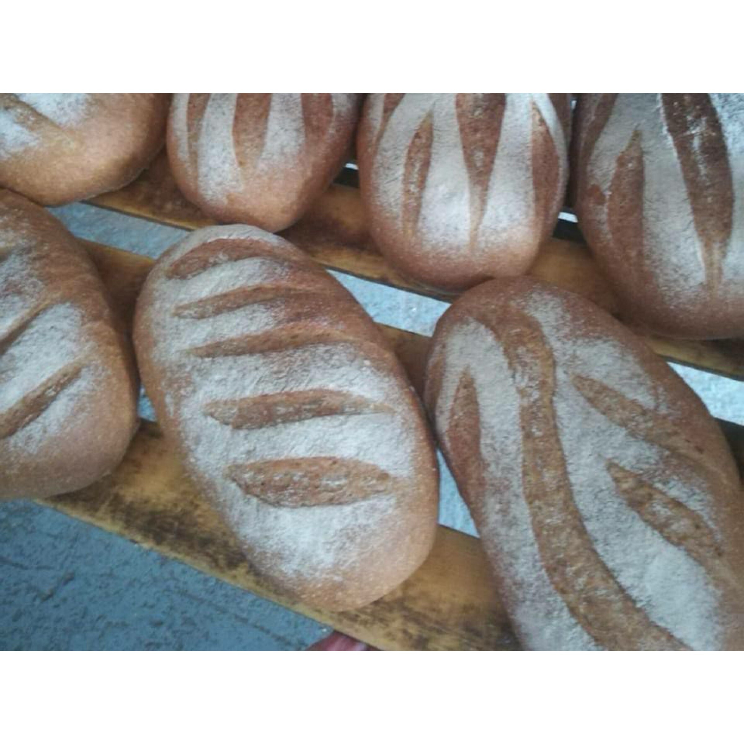 Астраханка развивает пекарню на средства льготного займа 