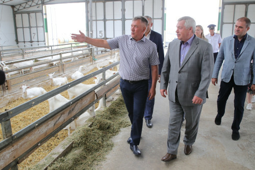 На Дону животноводы получат дополнительную поддержку из бюджета 