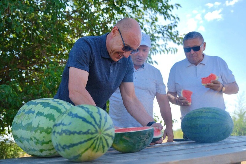В Приволжском районе Астраханской области выращивают уникальный сорт арбузов 