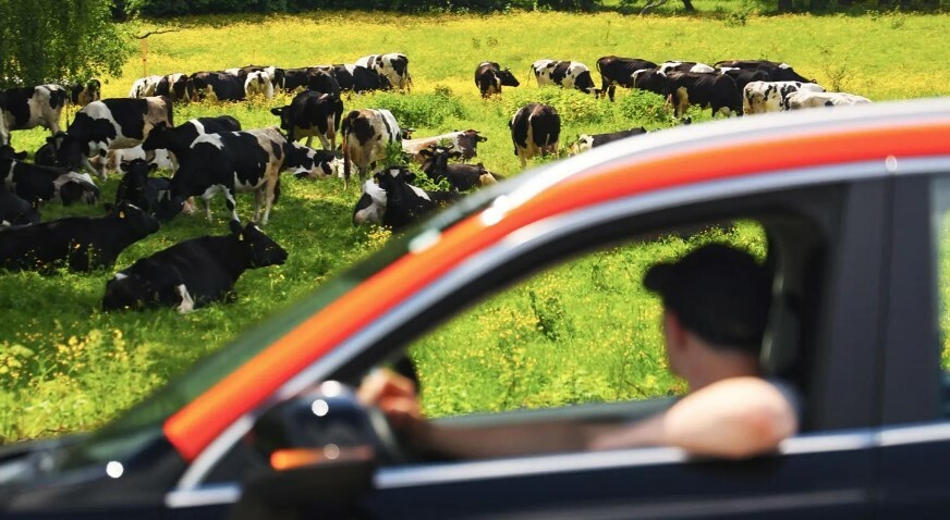 Летний проект «Умные путешествия» запустили в Подмосковье