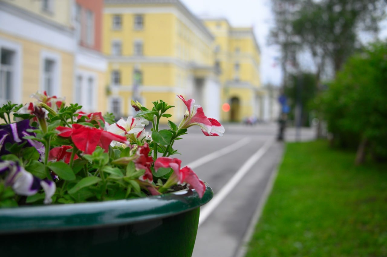 В Мурманске установили более 500 вазонов и высадили свыше 100 тысяч цветов