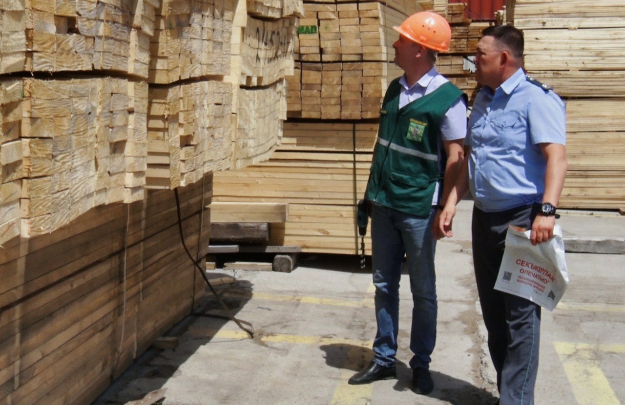 Из Астраханской области экспортировано 200 тысяч кубометров леса