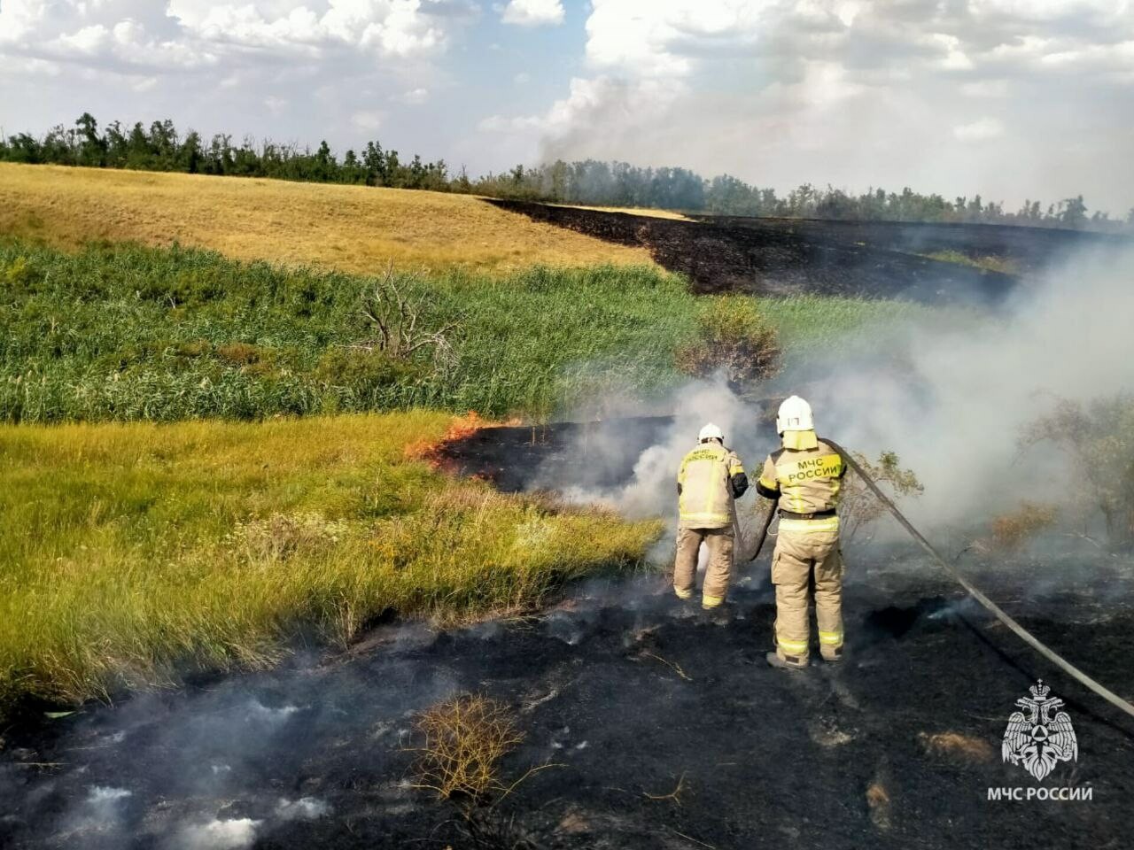 В Ростовской области за сутки ликвидировали 38 возгораний