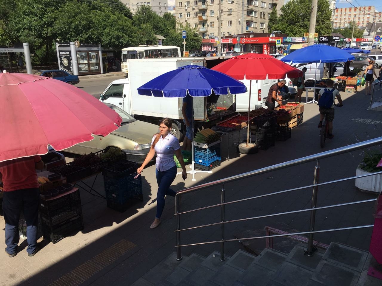 В 2024 году в Краснодарском крае выявили 3 тысячи незаконных случаев торговли