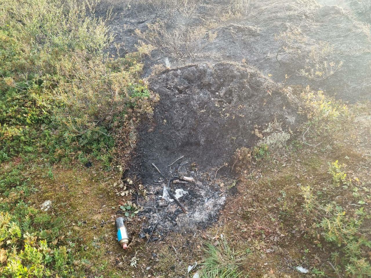 Большая часть лесных пожаров в Мурманской области произошла по вине человека