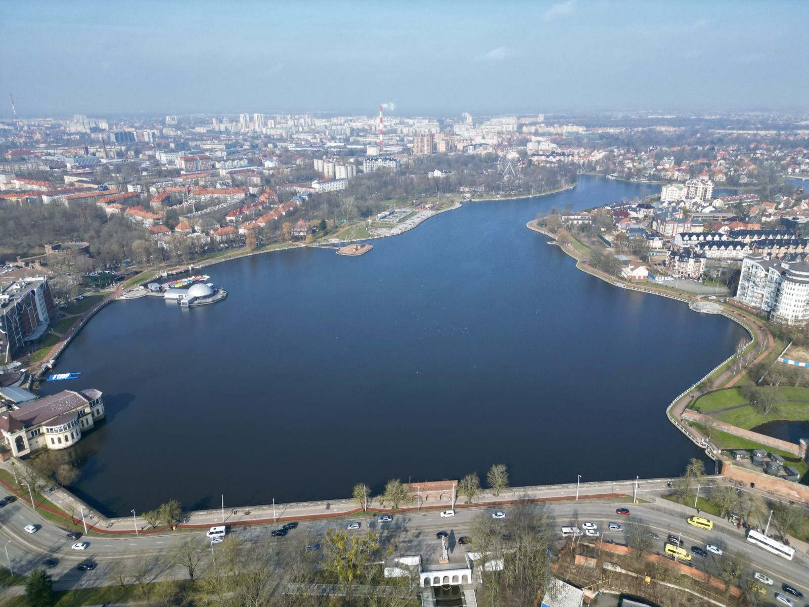 Названа предварительная причина массовой гибели рыбы в калининградском озере