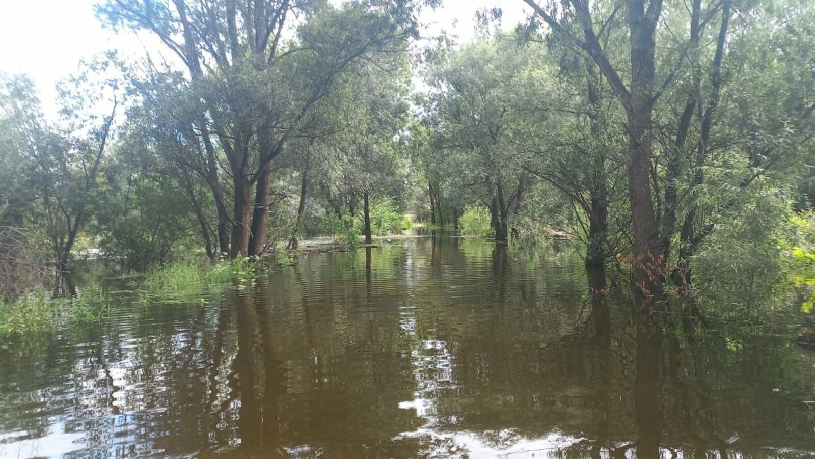 В Демском районе Уфы из-за перелива дороги закрыто движение для машин