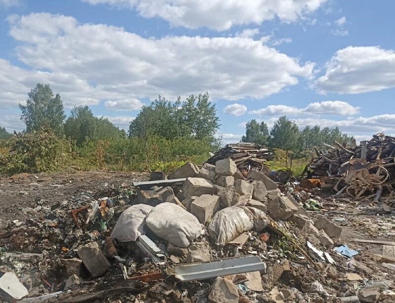 Предпринимательница из Подмосковья заплатит за ущерб почвам и ручью 1,6 млн рублей