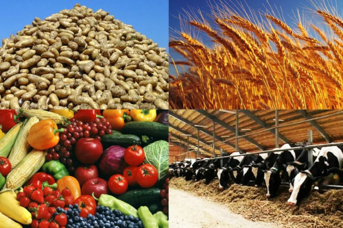 Донским аграриям оказали поддержку на 5,5 млн рублей