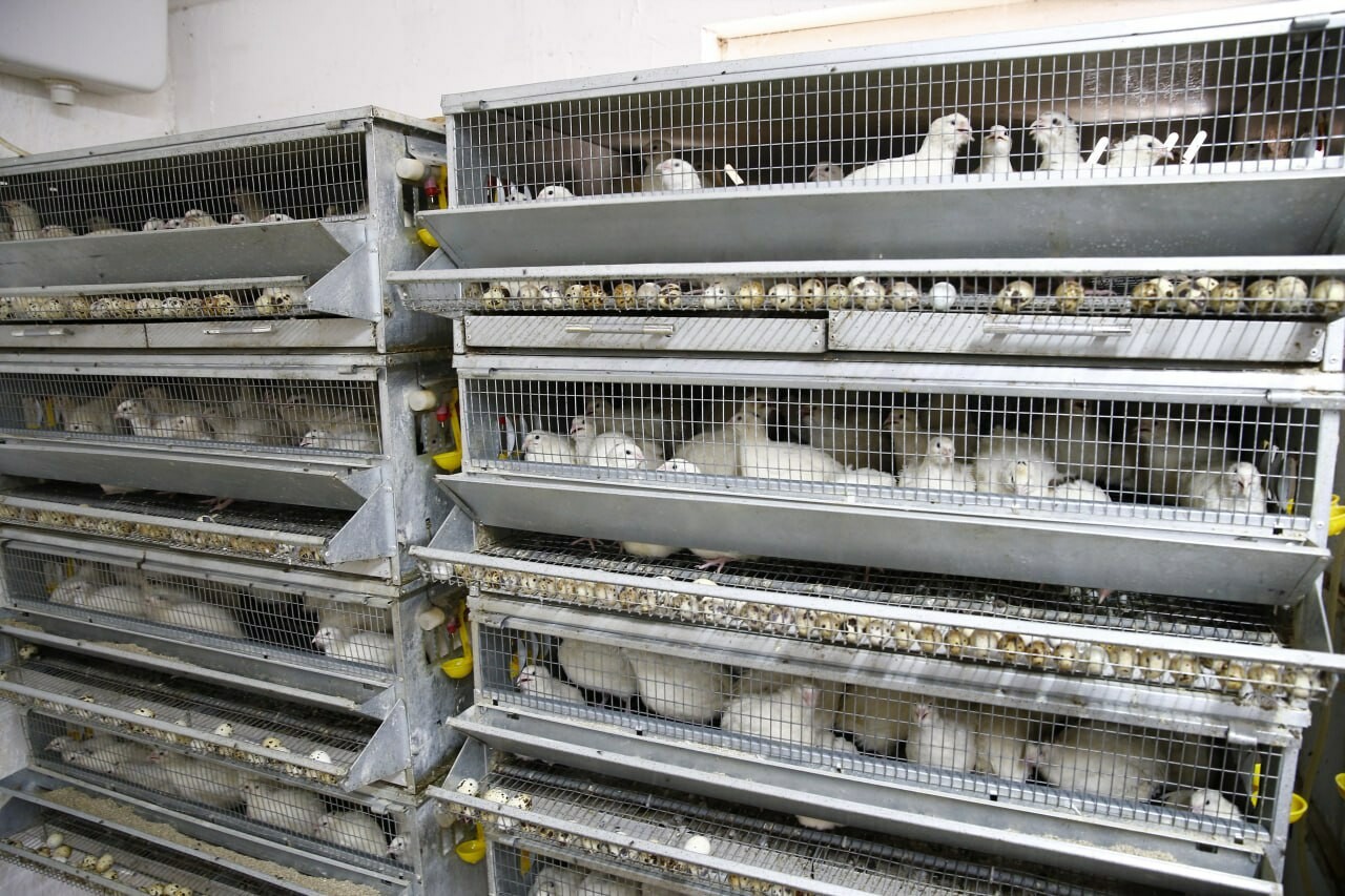 В 2024 году жители Кубани заключили 5800 социальных контрактов