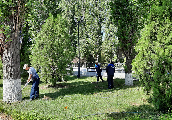В Волгоградской области наблюдается естественная убыль населения