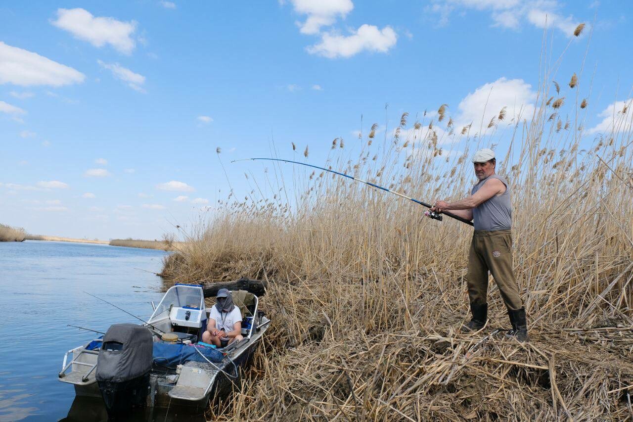 В Астраханской области продолжает действовать запрет на вылов воблы
