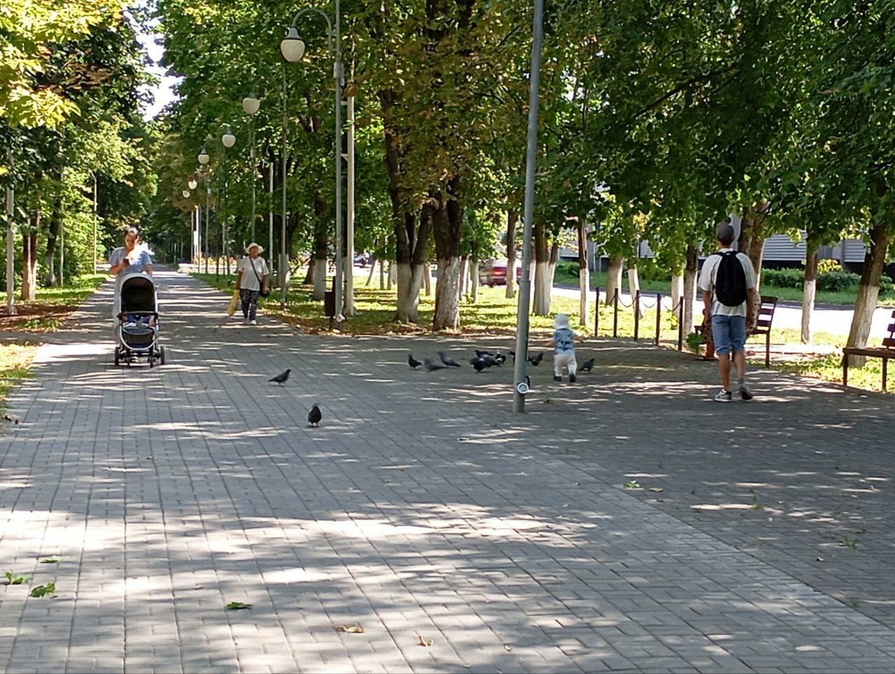 В Курчатове наблюдается спокойная обстановка