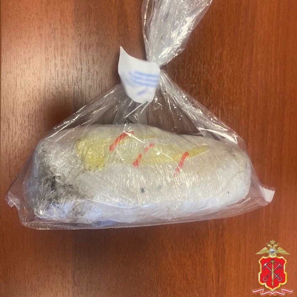 Житель Мурманска задержан в Ленинградской области с 300 граммами наркотиков