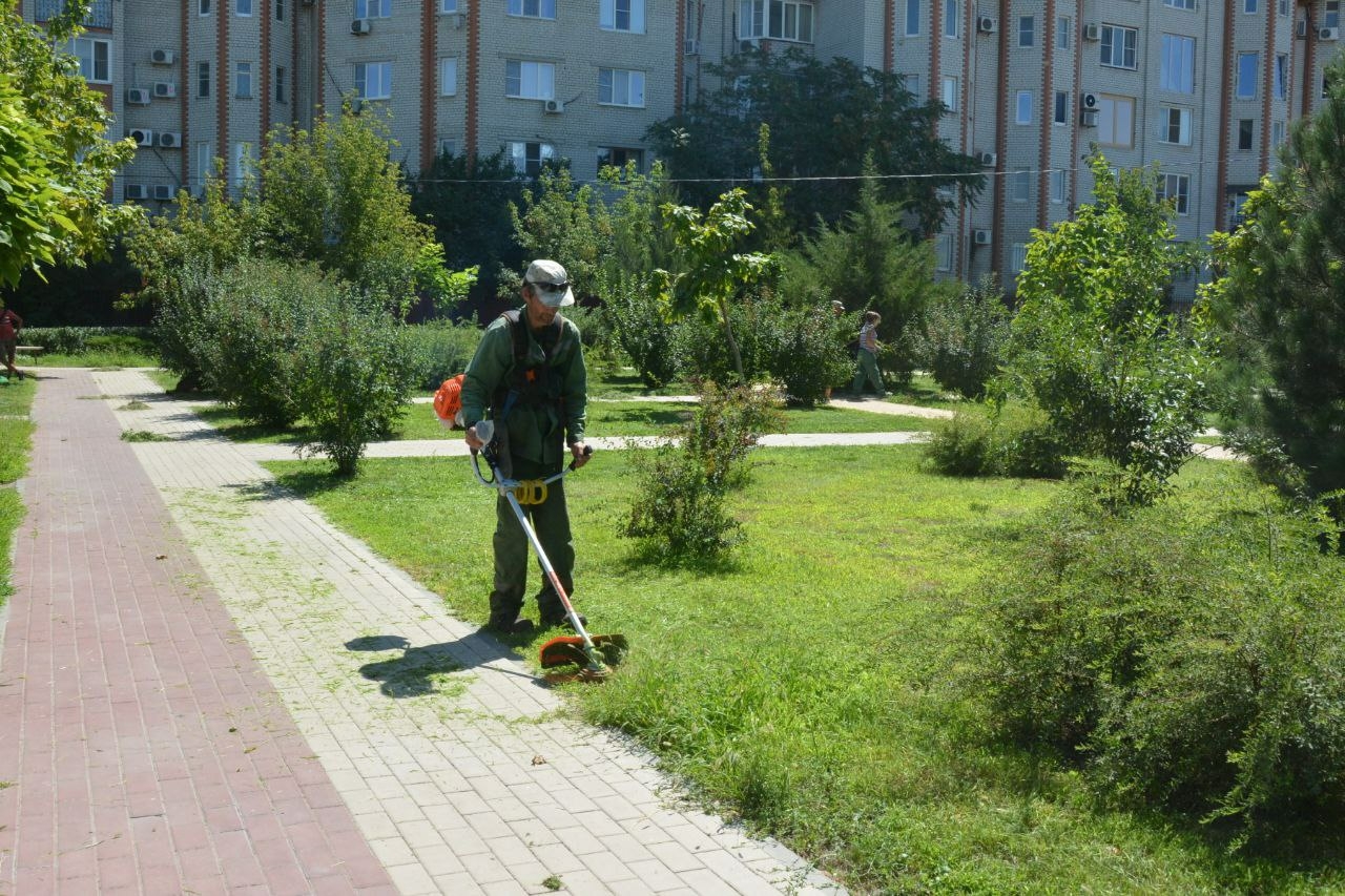 Зеленые насаждения привели в порядок на Центральной набережной Астрахани