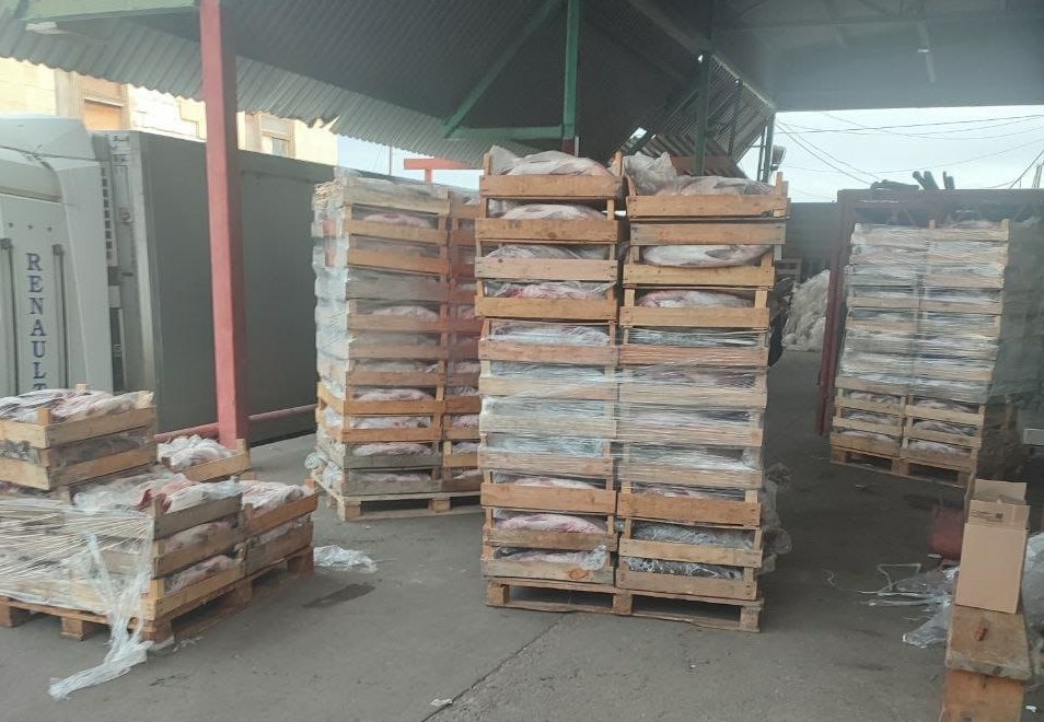 Более 20 тонн опасной рыбы хотели сбыть в Астрахани 
