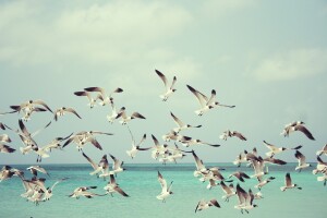 Фото