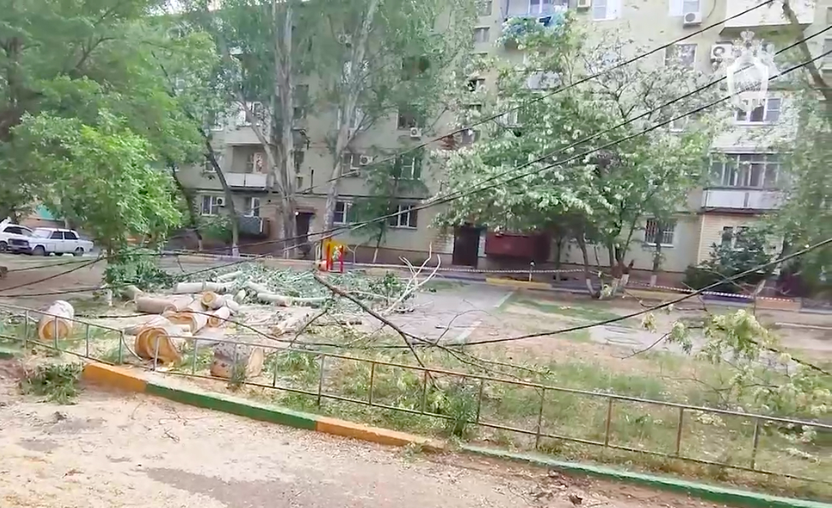 В Астрахани нашли виновного в трагической смерти девочки от падения дерева 