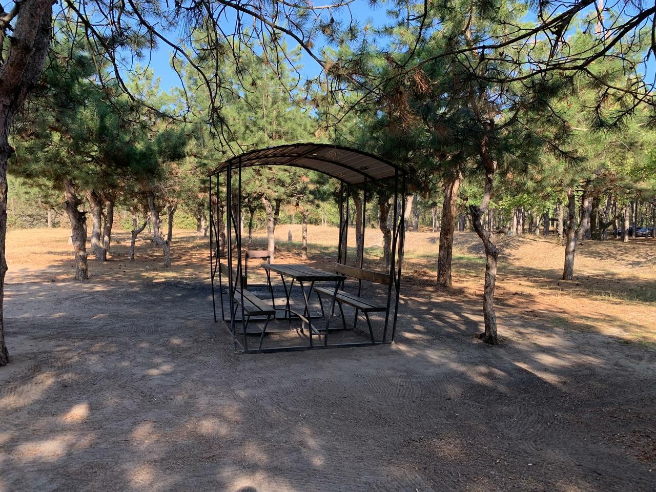 Мелитопольский парк очистили от мусора