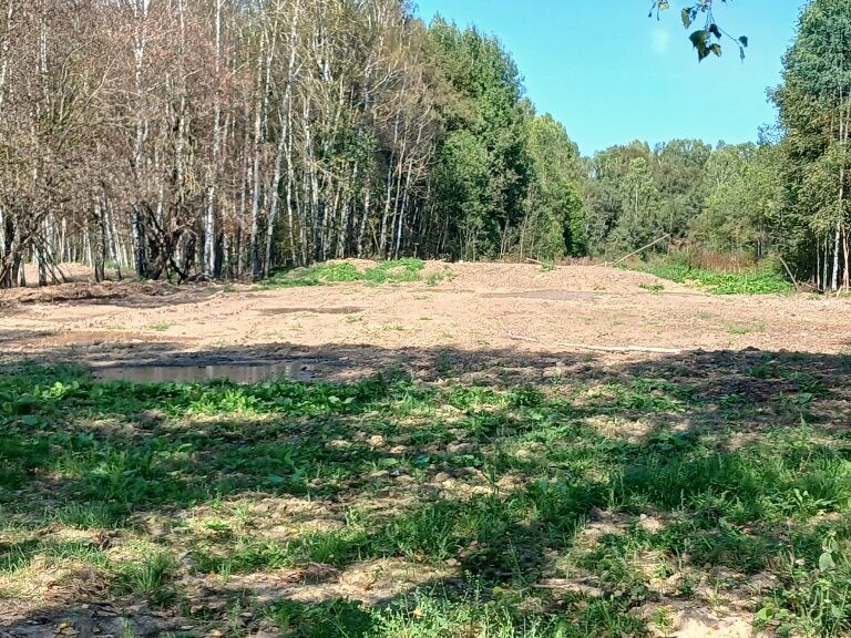 В Тверской области ликвидировали свалку гнилого картофеля на сельхозугодьях