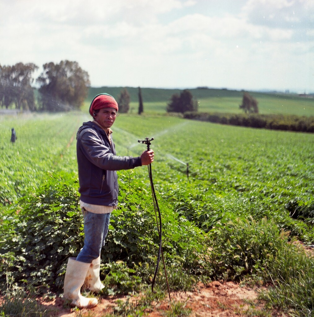 В России создадут реестр нелегальных мигрантов