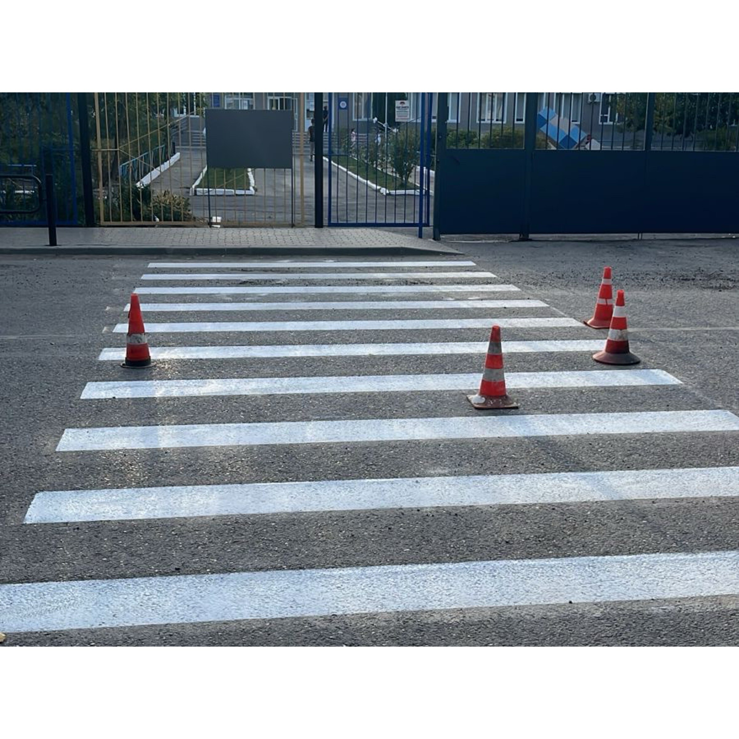 Накануне Дня знаний у астраханских школ обновили пешеходные переходы