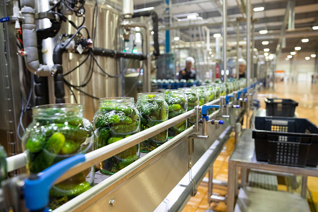 В Волгоградской области наращивают объемы сельскохозяйственной продукции