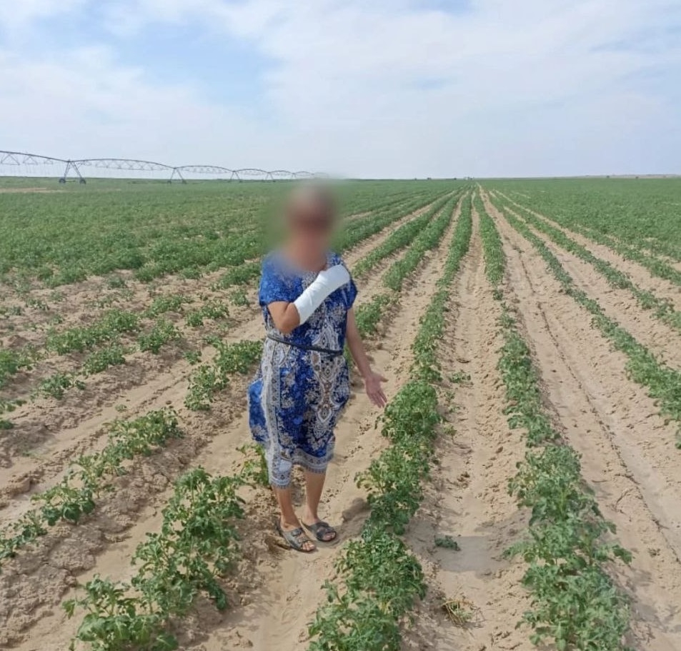 В Астраханской области житель пойдет под суд за драку на картофельном поле