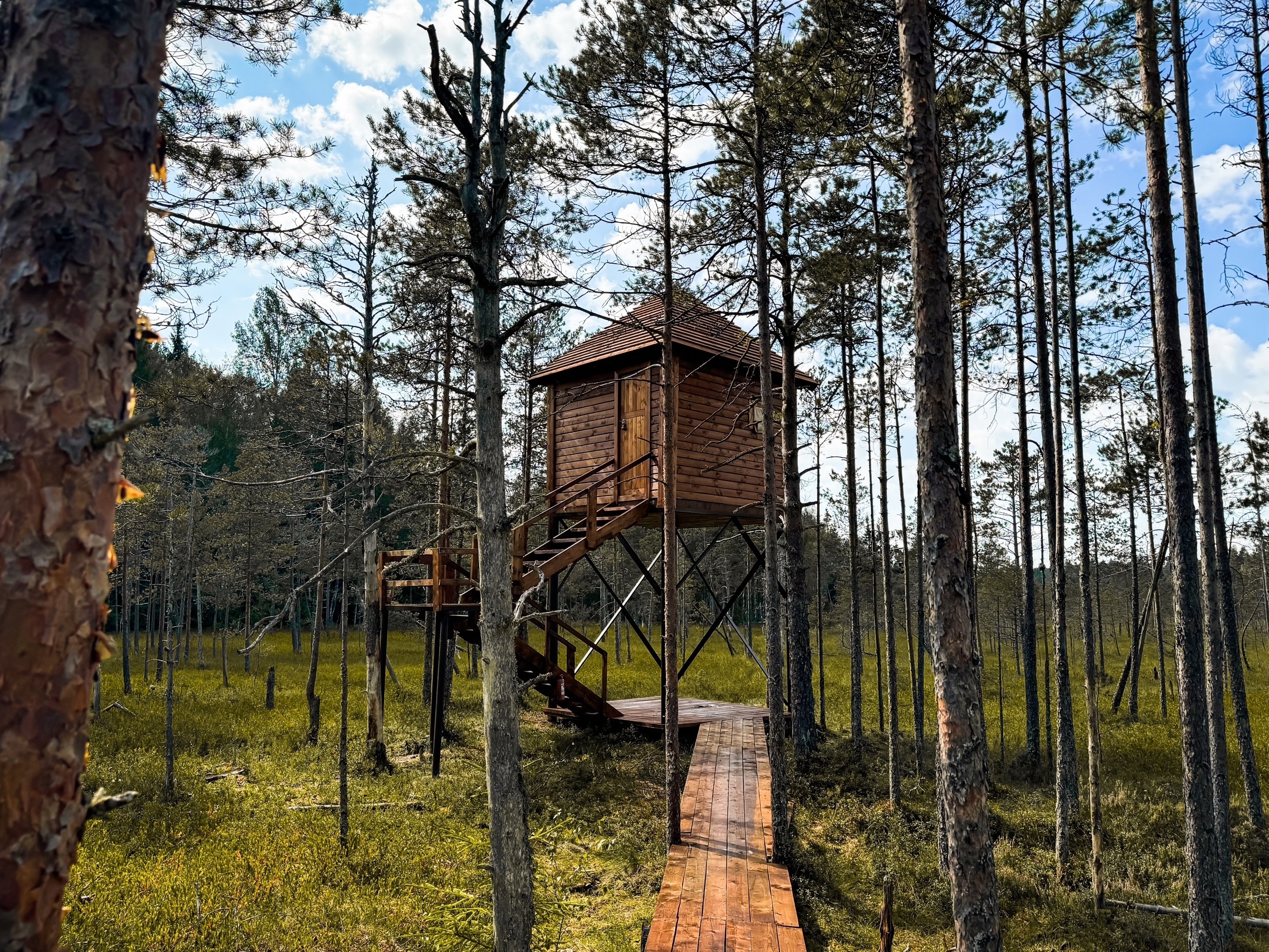 В Новгородской области появилась уникальная площадка для фотоохоты