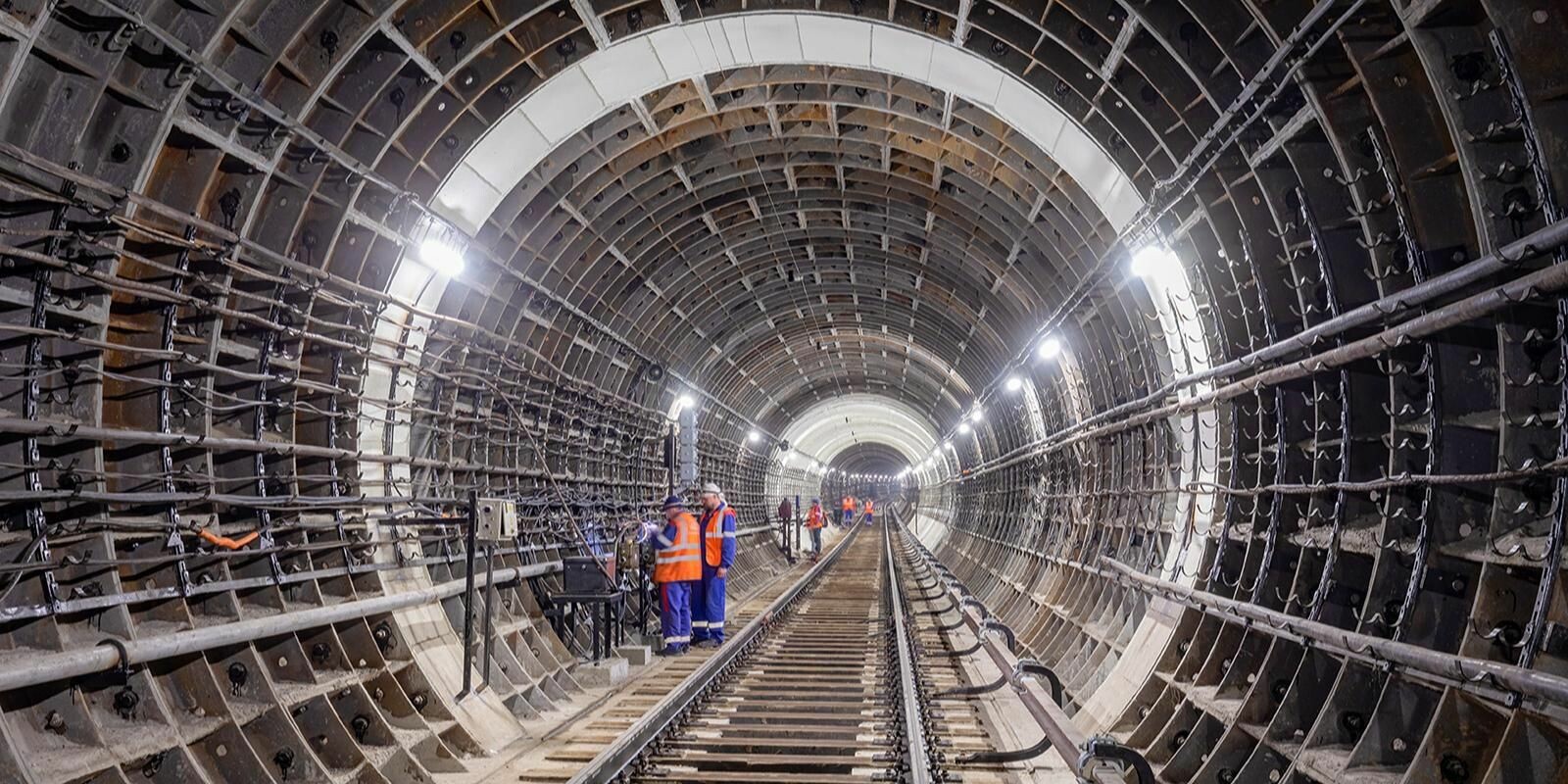 В Москве компенсируют деревья, вырубленные из-за стройки метро «Бульвар Генерала Карбышева»