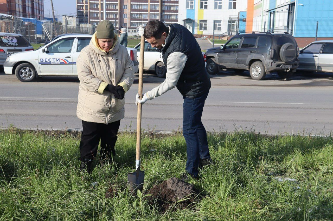 Лемин рассказал о благоустройстве парка в Арбане
