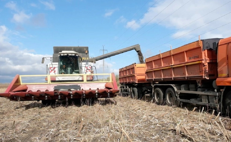 В Башкортостане наблюдается рост урожайности масличных культур