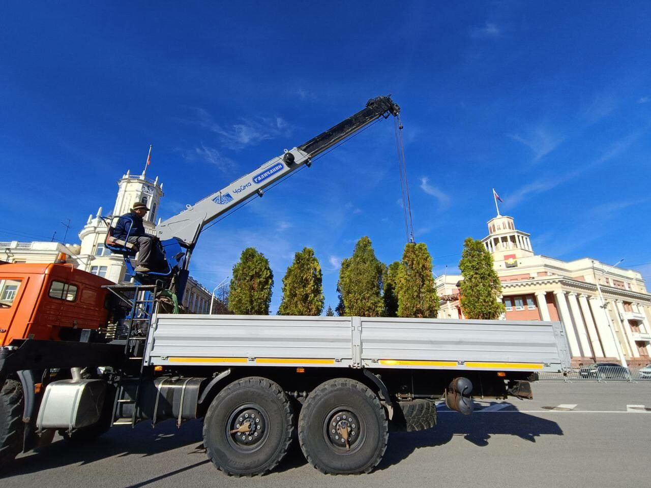 Площадь Советов в Кемерове потеряла зеленый декор из-за морозов