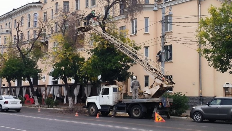 В Астрахани в 2024 году опилили около трех тысяч деревьев